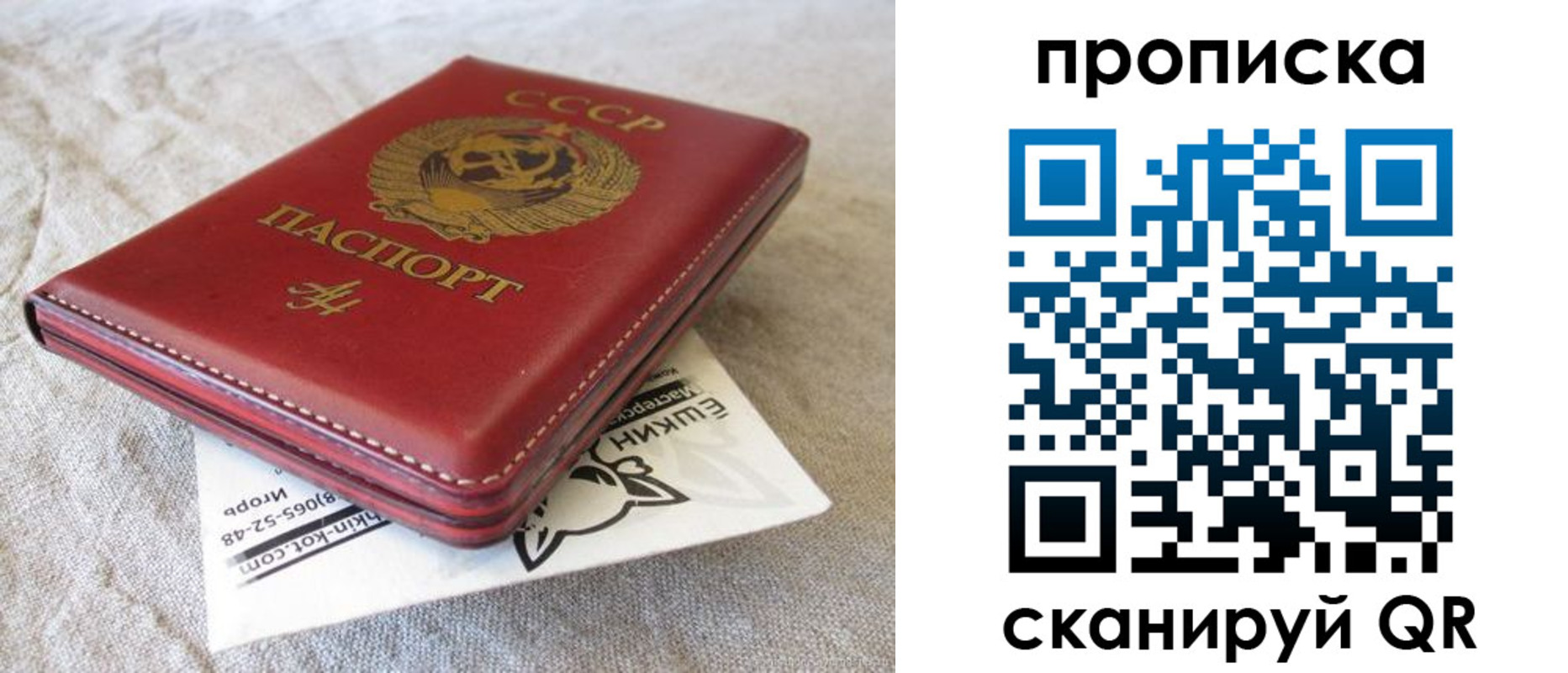 прописка для школы в Пионерском